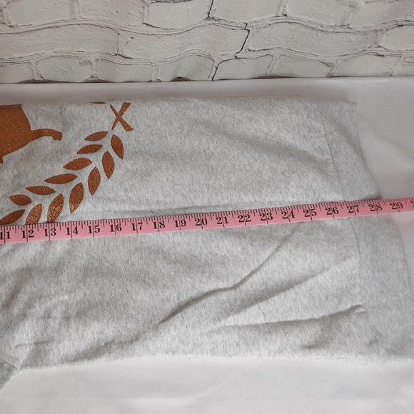 VICTORIA'S SECRET 'PINK' SIGNATURE DOG LOGO SHIPPING BACK FLEECE HOODIE - Picture 6 of 16